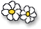  Blumen 