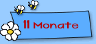  Joschka 11 Monate alt 
