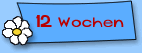  Joschka 12 Wochen alt 