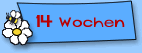  Joschka 14 Wochen alt 