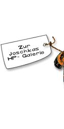  Zur Joschkas Homepage-Galerie 